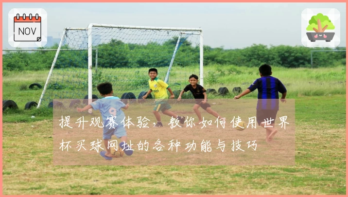 提升观赛体验，教你如何使用世界杯买球网址的各种功能与技巧