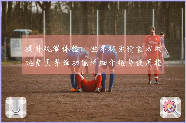 提升观赛体验：世界杯竞猜官方网站首页界面功能详细介绍与使用指南