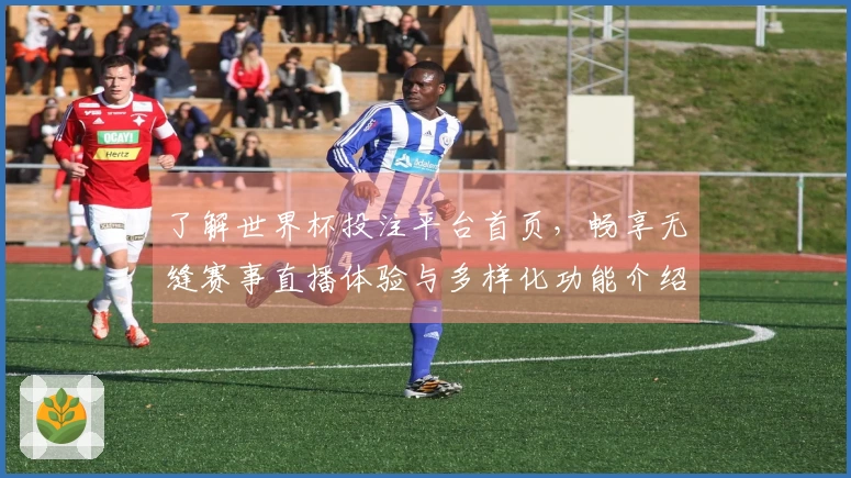 了解世界杯投注平台首页,畅享无缝赛事直播体验与多样化功能介绍