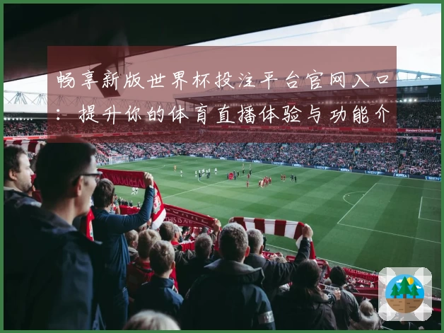 畅享新版世界杯投注平台官网入口：提升你的体育直播体验与功能介绍
