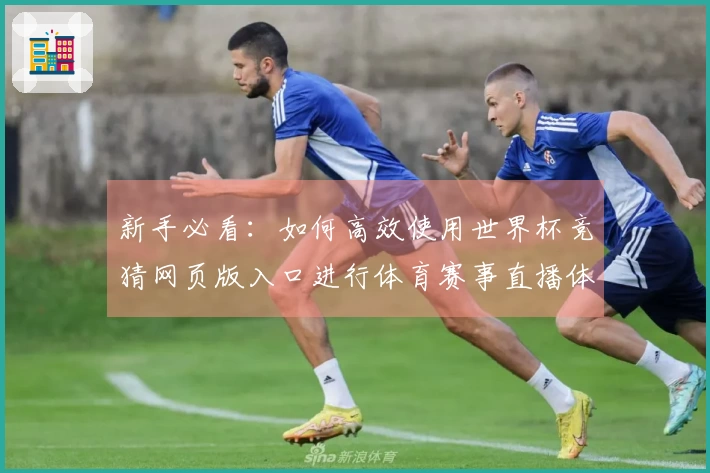 新手必看：如何高效使用世界杯竞猜网页版入口进行体育赛事直播体验指南