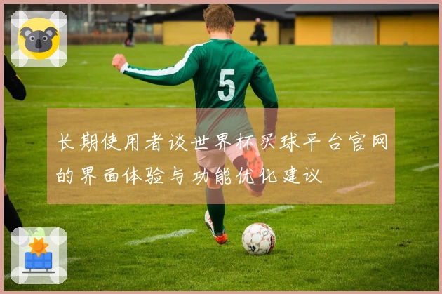 长期使用者谈世界杯买球平台官网的界面体验与功能优化建议